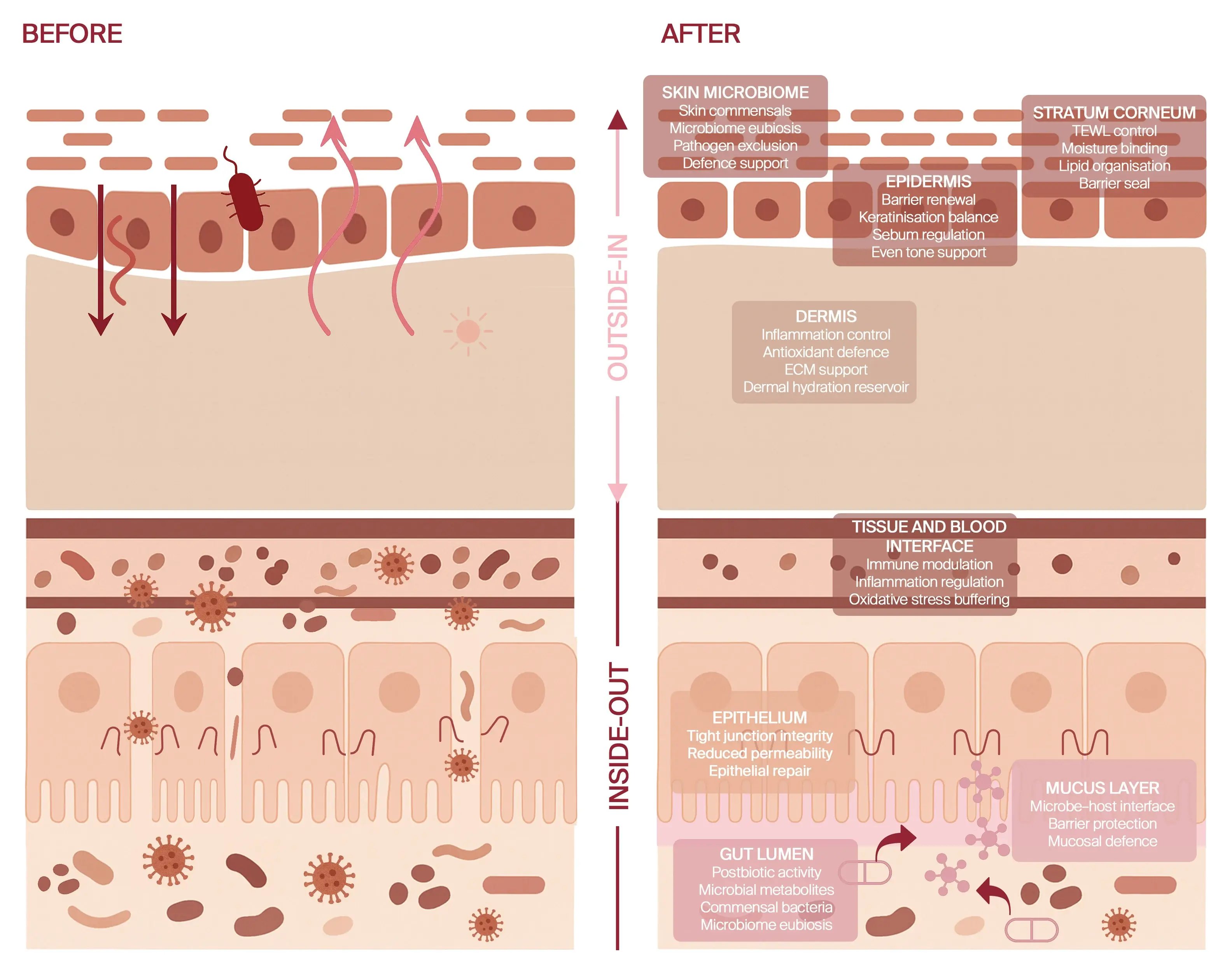 AWvi solutions action illustration