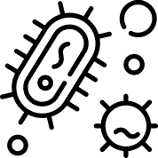 lactobacilli strains icon